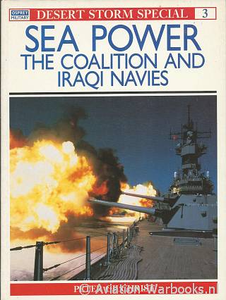 Sea Power The Coalition and Iraqi Navies