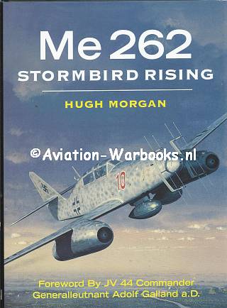 Me262 Stormbird Rising
