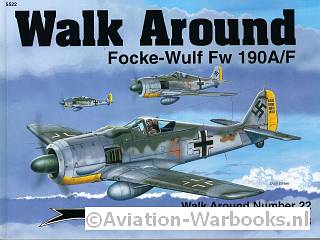 Walk Around Focke Wulf Fw 190A/F